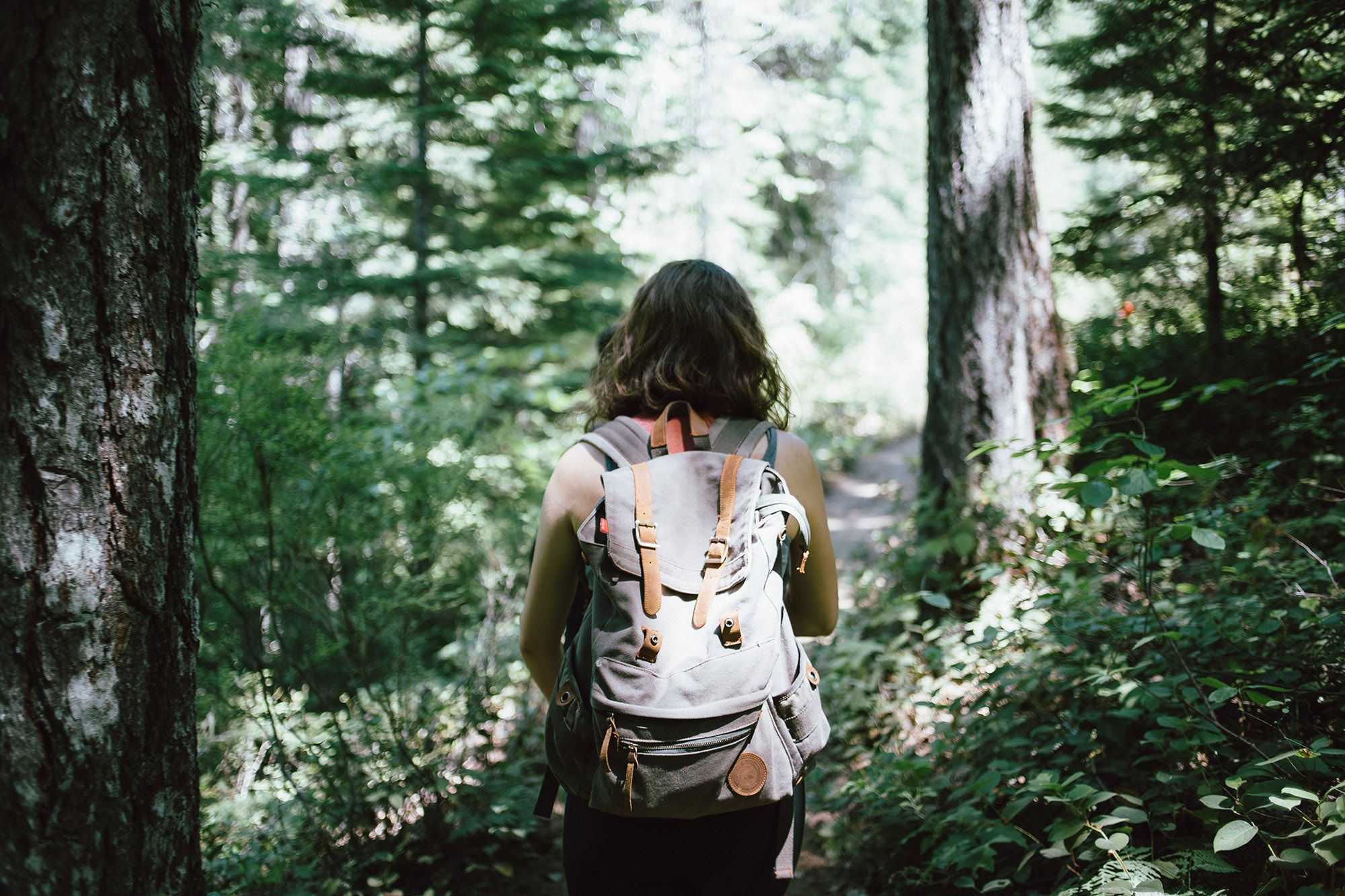 hiking trails near everett wa | hiking while high | hiking in everett wa | cannabis and exercise | hiking and cannabis consumption | why is hiking fun